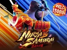 Ninja vs Samurai